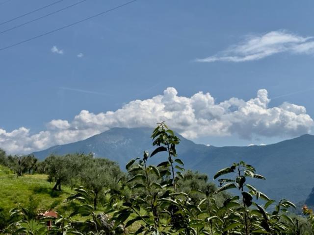 Alloggio Turistico Molu Apartment Gavazzo Nuova Luaran gambar